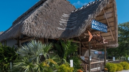 Florida Keys Aquarium Encounters Logo